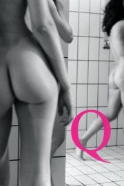 Q Desire